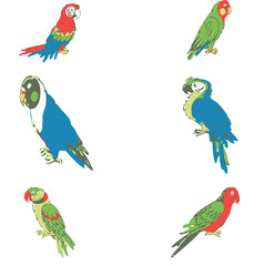Obraz premium Set of vector colorful parrots