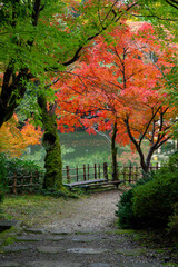 秋の高岡古城公園