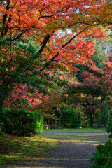 秋の高岡古城公園