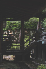 Fototapeta premium 新緑の仁和寺