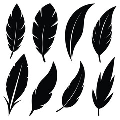Collection of Black Feather Silhouettes on White Background Resource Elements