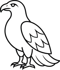 Fototapeta premium line art of a falcon on the white background