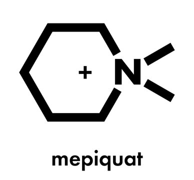 Mepiquat plant growth regulator molecule. Skeletal formula.