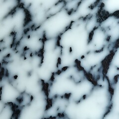 Close-up view of white marble with dark veining