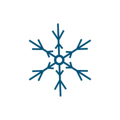 snowflake vector icon