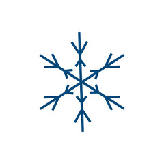 snowflake vector icon