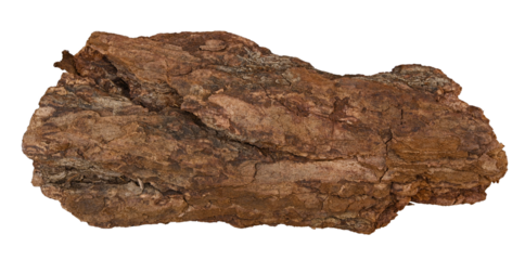 Piece of tree bark mulch isolated on a transparent background. Completely in focus. Full depth of field. PNG.