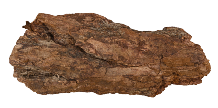 Piece of tree bark mulch isolated on a transparent background. Completely in focus. Full depth of field. PNG.