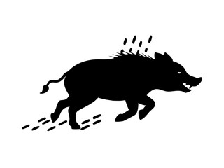 Angry Boar Charging Forward In A Tropical Forest D