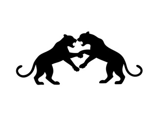 Two Adult Leopards Play Fighting Gently On Forest