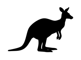 Red Kangaroo Standing Still In A Neutral Upright