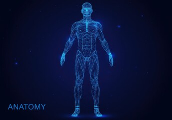 Human anatomy visualized a digital representation of the muscular system showcasing intricate details for medical and educational purposes future applications 
