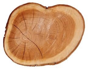 log top view wood cut rings transparetn for background
