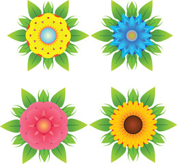 set of sunflowers
