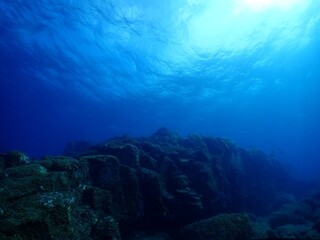 Underwater Columnar jointing in Izu Oshima