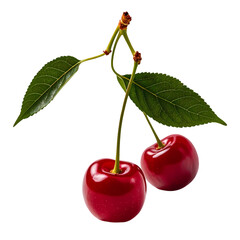 Fresh Red Cherries isolated on transparent background