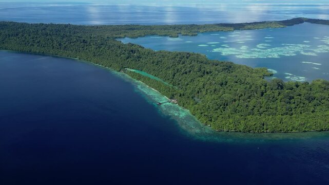 Kakaban, Indonesia: Aerial drone footage of the Kakaban island in the Derawan archipelago close to Maratua. Shot with a tilt up motion.