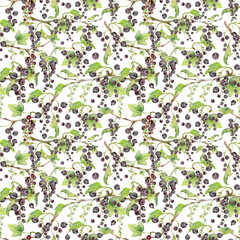 Currant gooseberry with green leaves, long flower clusters hand drawn in watercolor, garden berry hanging on branches. Isolated seamless pattern. Craft drinks, grocery, background wallpaper, packaging