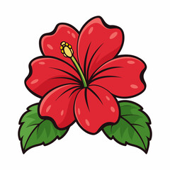 hibiscus flower vector illustration