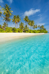 Relaxing artistic summer beach scene with palm shadows, pastel blue sky turquoise seascape. Tropical island landscape for dreamy escapes, creative visuals, tranquil vacation wallpaper. Sunny blue sky