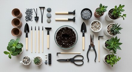 Succulents and tools compose flatlay gardening arrangement against white backdrop showcasing pebbles pots soil