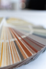 Rainbow color palette, samples of trending colors.