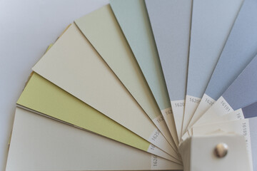 Decor and interior designer color palette