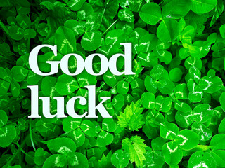 Photo of green clover with the word Good Luck. Bringing good luck.