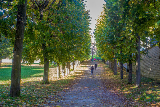 People running in Saint Claud  in autumn orange day in Paris