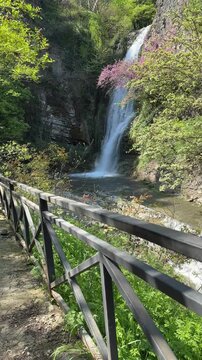 Waterfall in Tbilisi botanical garden low angle view, vertical