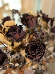 Close-up of Dried Dark Red Roses and Foliage