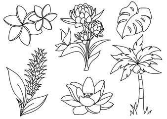 Tropical Plants Flowers line art set © Yulia