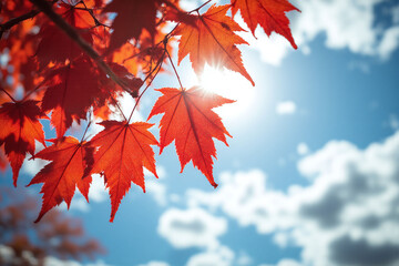 branch of a tree with red leaves against a blue sky
