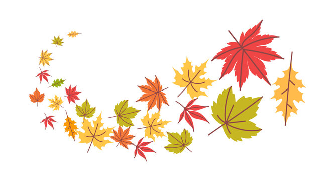 Autumn falling leaves. Flying swirl of orange tree foliage. Thanksgiving background with yellow, red and green maple and oak leaves. Fall sale season banner vector template.