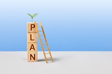 Wooden cubes with the words plan, young green seedling and wooden ladder are a symbol of success,...