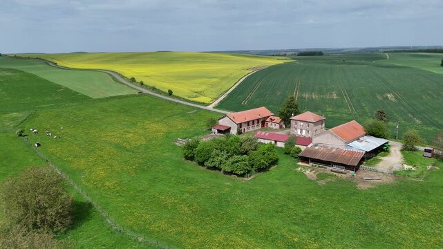 Vue a&eacute;rienne sur une exploitation agricole en Lorraine. On voit les p&acirc;turages avec des vaches, et des chmpas de colza , de bl&eacute; ou d'orge aux alentours