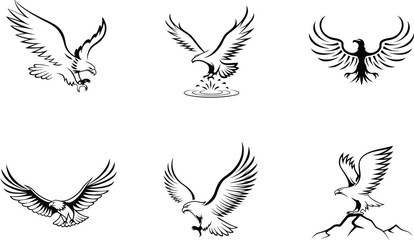Set of black and white eagle illustrations in various flight poses