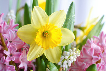 Fototapeta premium Close-up view of a colorful bouquet of spring flowers, perfect for decoration.
