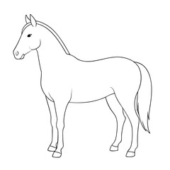 Obraz premium Standing horse line art presents a simple animal outline of equestrian beauty and grace