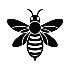 bee vector illustration