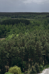 Aerial view of dense green forest under stormy sky. Summer landscape near Minsk, Belarus. Dramatic weather, pine trees, nature, wilderness, and Eastern European scenery.