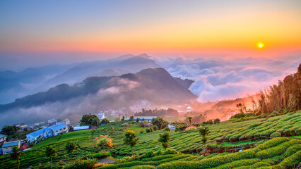Sunset with Sea of Cloud, Alishan National Park, Taiwan