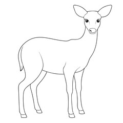 Obraz premium Graceful deer stands attentively as it gazes ahead, outlined in black against white