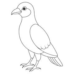 Obraz premium Single lineart crow stands facing left; an outlined vector bird awaits coloring