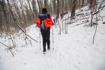 Winter Hike Through a Snowy Forest