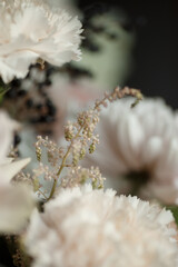 Soft beige carnations and delicate dried flowers in natural light. Perfect for wedding invitations, romantic cards, floral backgrounds, and elegant bridal designs.