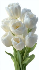 A beautiful bouquet of white tulips with lush green leaves set against a clean backdrop.