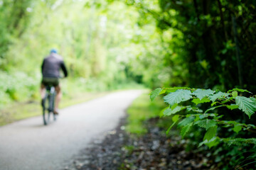Beautiful landscape with seniors in the background on a cycle path through the forest in southwest France