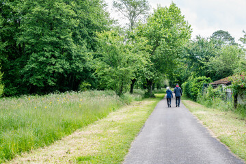 Beautiful landscape with seniors in the background on a cycle path through the forest in southwest France