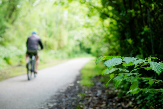 Beautiful landscape with seniors in the background on a cycle path through the forest in southwest France